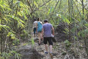 Cardamom Safety Travel Guide: Tips, Precautions & Eco-Tours